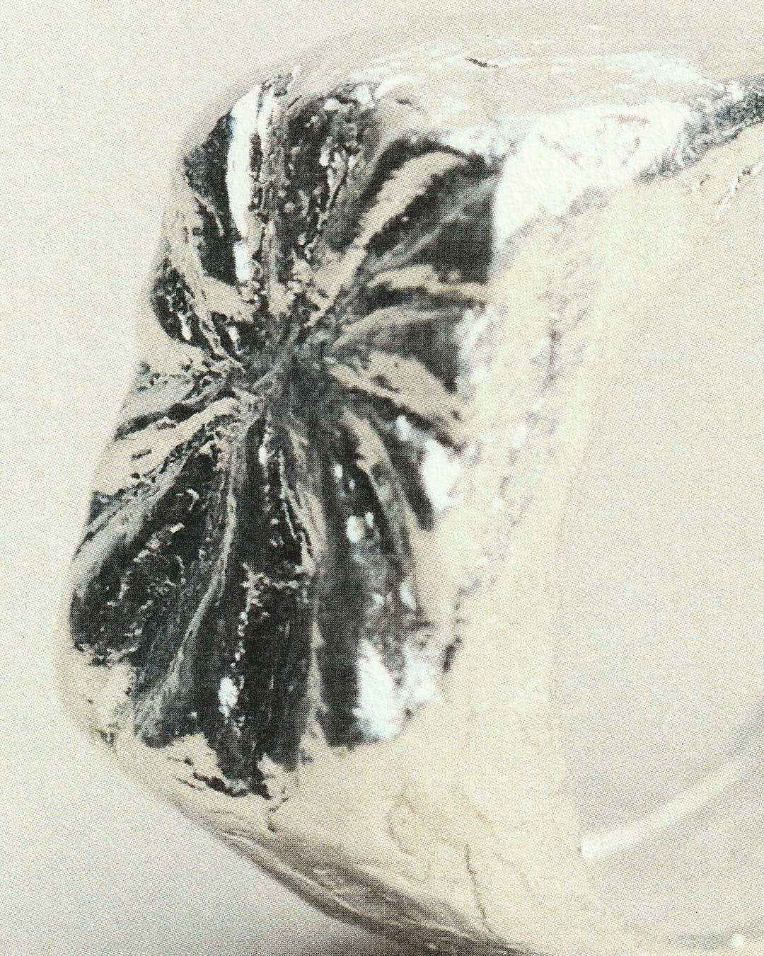 Carmina's Ring - Image 6