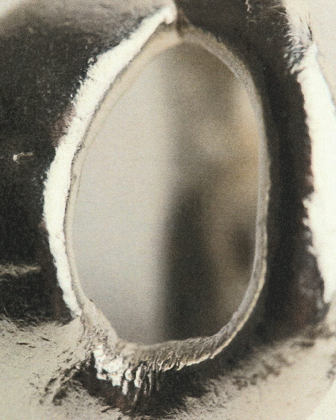 Cecilia's Ring - Image 7