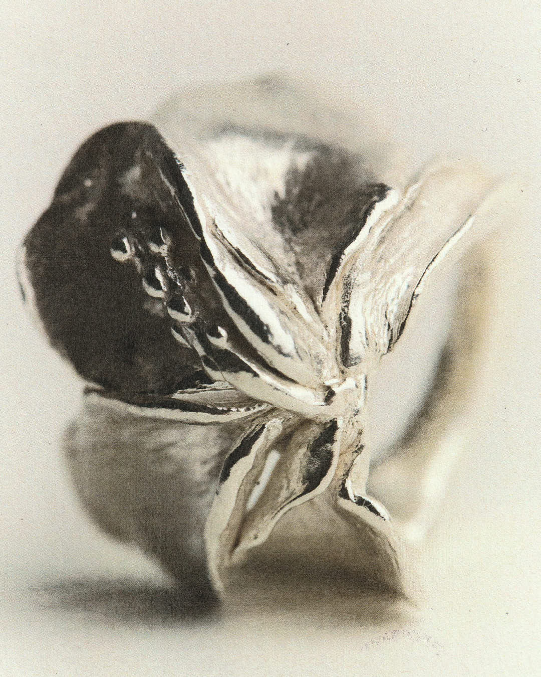 Jeanette's Ring - Image 4
